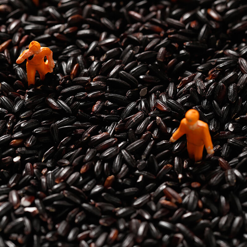 十户香精选胭脂红米黑米黄米薏仁米米饭伴侣 珍宝黑米1.5kg高清大图