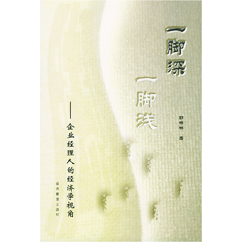 正版新书]一脚深一脚浅:企业经理人的经济学视角郭梓林978780162高清大图
