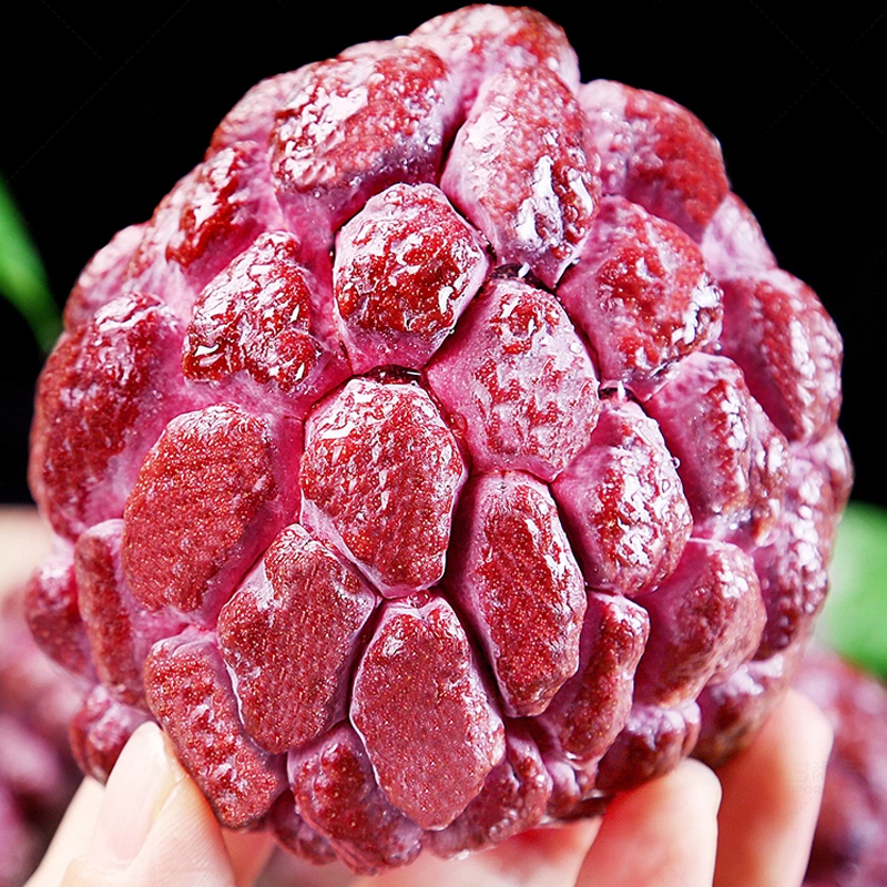 顺丰快递[西沛生鲜]新鲜玫瑰释迦果 净重1.5斤 小果 精选释迦果 牛奶释迦番荔枝 佛头果 新鲜热带水果 西沛高清大图