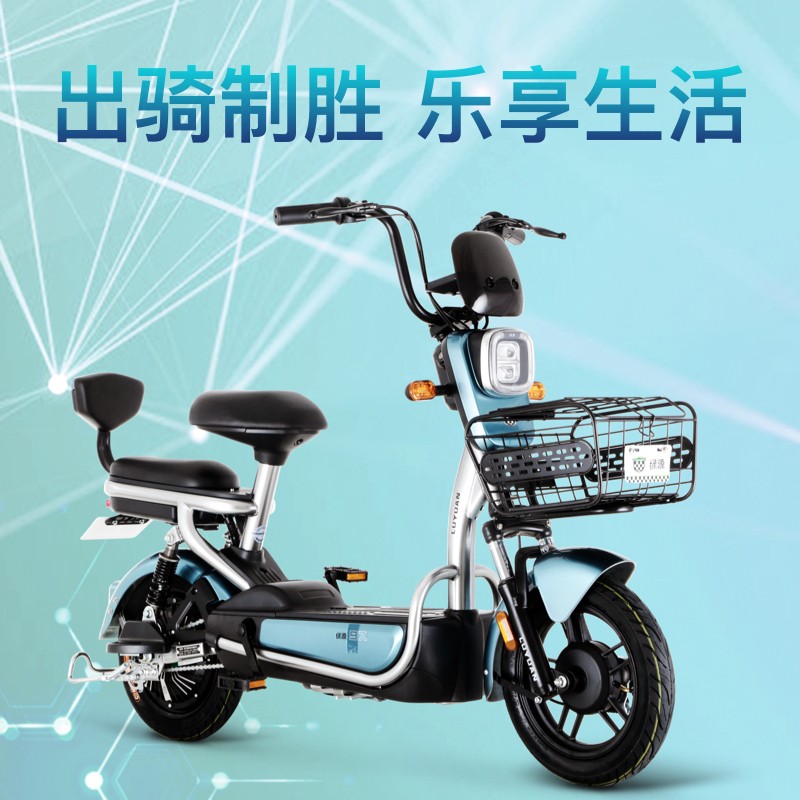 绿源(LUYUAN)电动车新款48v20a锂电池长续航电瓶车FEA男女代步电动自行车 星球灰