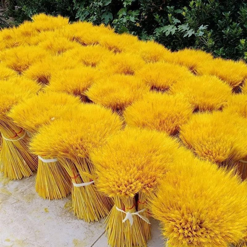 麦穗干花花束金色大麦客厅装饰开业花瓶摆件桌面花艺插花真花|原色 50支