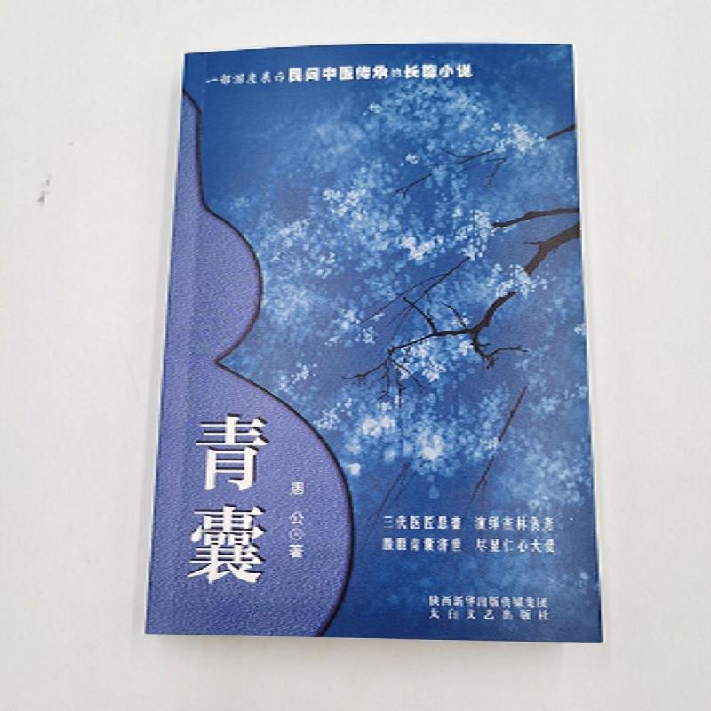 正版新书]青囊愚公9787551318532高清大图