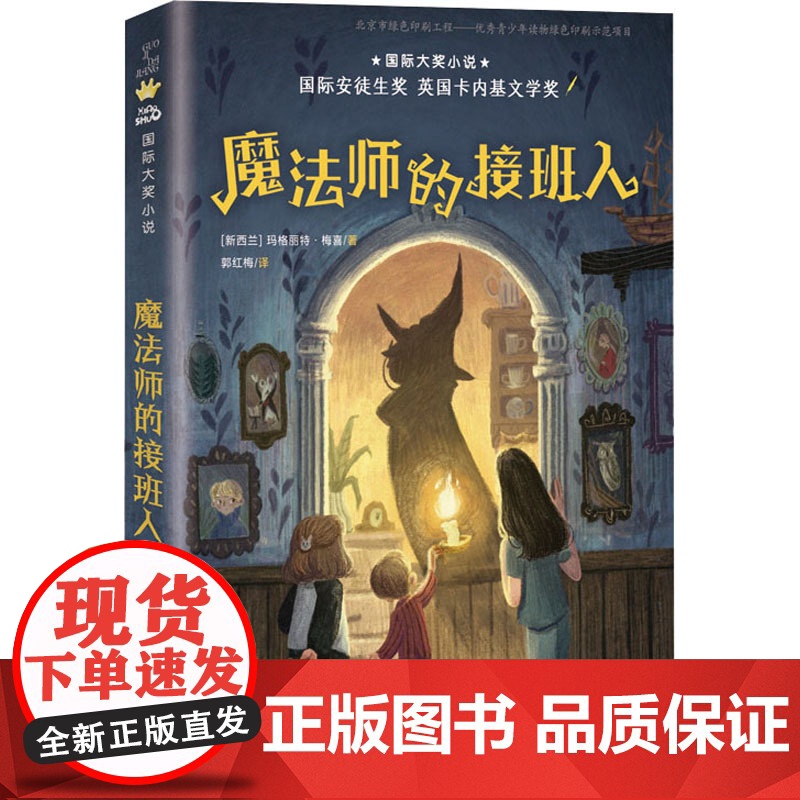 魔法师的接班人 新蕾出版社 (新西兰)玛格丽特·梅喜 著 郭红梅 译高清大图