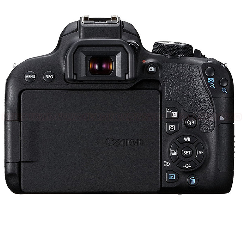 canon佳能eos800d单机身数码单反相机海外版非国行