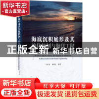 海底沉积底形及其演化机制与海洋工程