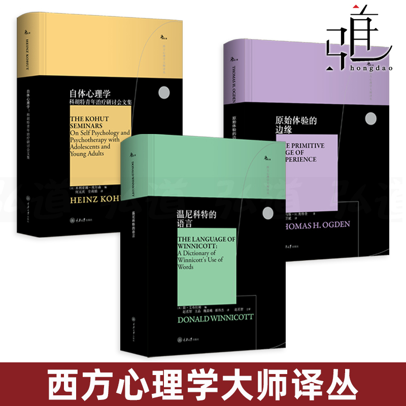 西方心理学大师译丛全套10册 [正版]鹿鸣心理 西方心理学大师译丛书 温尼科特的语言 投射性认同和心理治疗技术 梦的意义