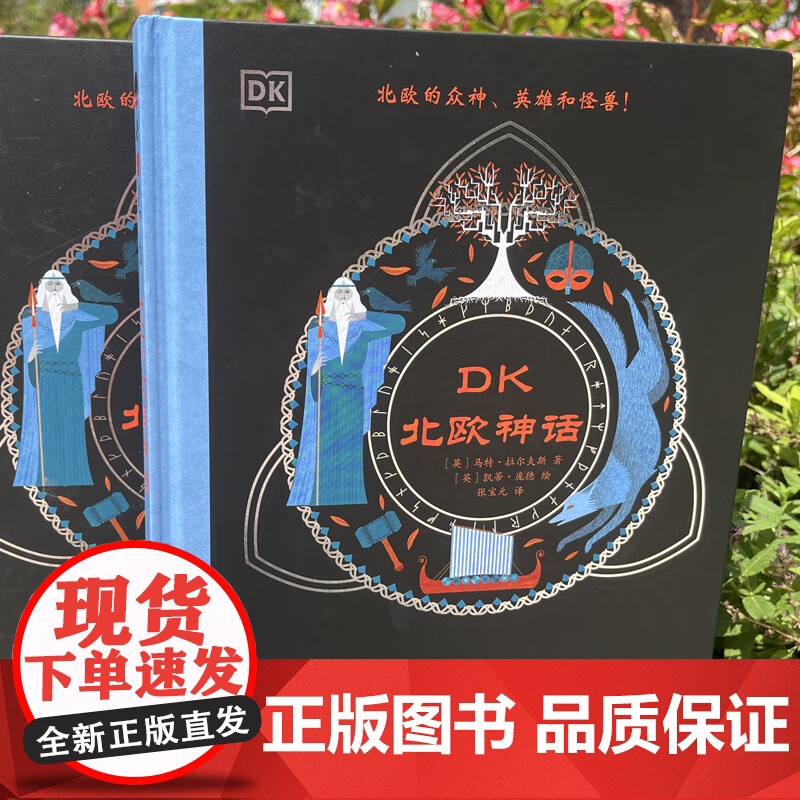 DK北欧神话 马特·拉尔夫斯 著 儿童文学高清大图