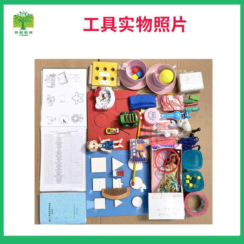 有树 YSXL-CDCC01 CDCC婴幼儿智能发育评估儿童发展智力运动测验减压玩具 早教教具高清大图