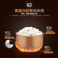 美的(Midea)WRD5031A电饭煲 5L大容量 金属拉丝机身 智能预约 多功能家用电饭煲 黄晶内胆 底部加热