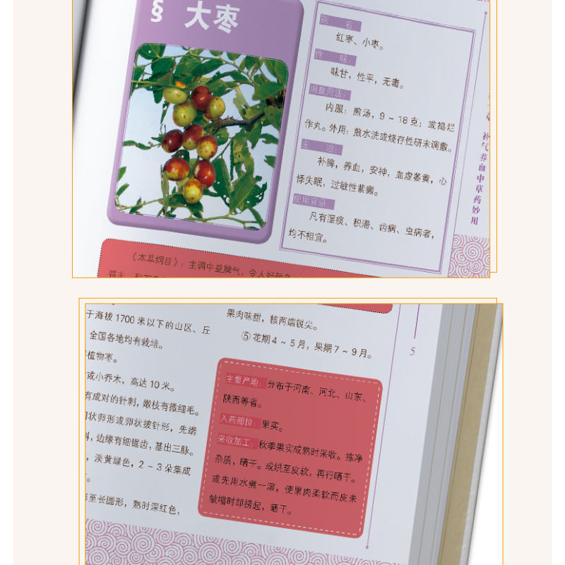 [醉染正版]美容护肤书籍大全 美容护肤中草药妙用正版中医美容美白护肤书籍女人经大全集中医养生女性护肤中草药妙用护肤书
