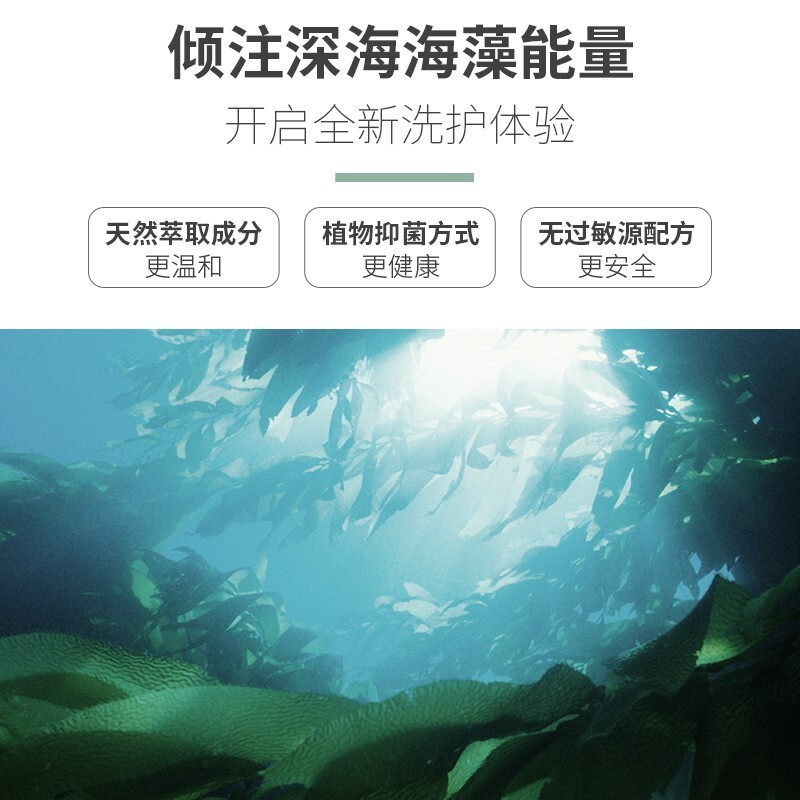 b2v绿藻香能奇焕祛屑洗发水300ml高清大图
