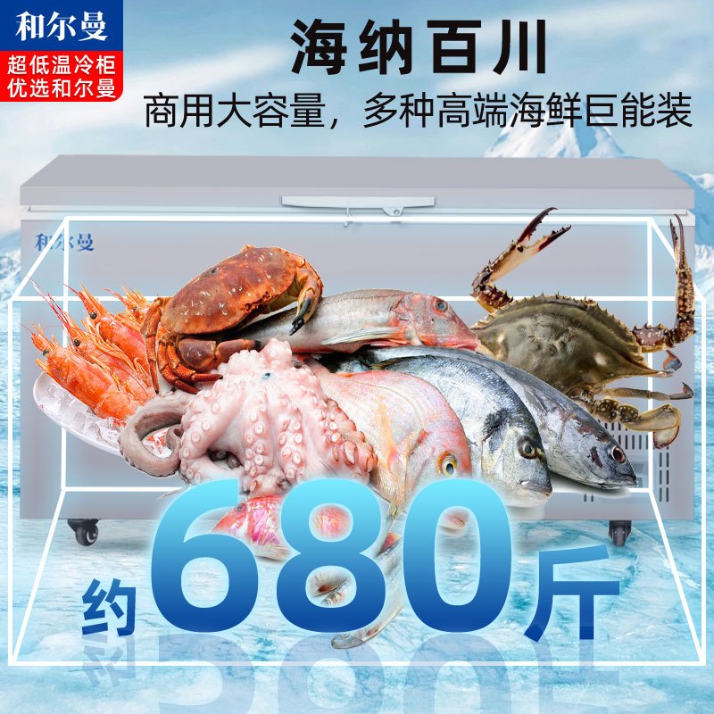 和尔曼 570升零下65度超低温水产冷柜 商用卧式冰柜 -65℃海鲜餐厅日料店金枪鱼商用水产保存箱DW-65W570B