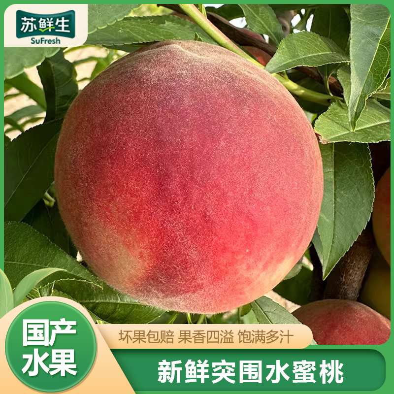 [苏鲜生] 陕西新鲜突围水蜜桃 新鲜水果 净重4.5斤 大果 9-12枚 应季现摘脆甜毛桃子 整箱