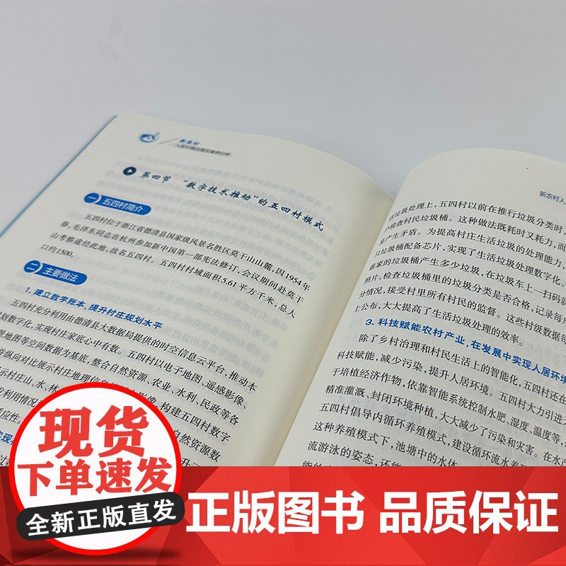 [助力乡村振兴出版计划·现代乡村社会治理系列]新农村人居环境治理及案例分析高清大图