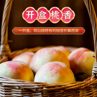 [顺丰空运桃王]正宗江苏无锡水蜜桃 阳山老蔡桃庄 现采现摘 单果8-9两 6只装 可撕皮滴水软桃 新鲜水果 现摘现采现发