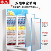 埃利斯(AILISI)680L商用展示柜 大容积立式陈列柜冷柜 保鲜柜玻璃门冰箱超市便利店饮料柜 单门冷藏冰柜