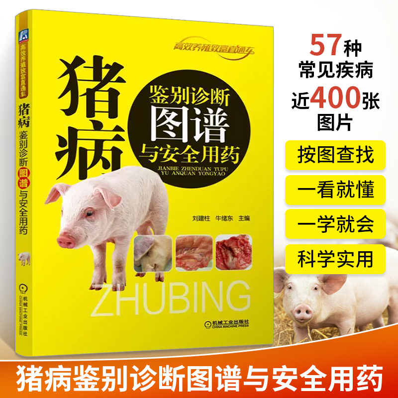 [正版]猪病鉴别诊断图谱与安全用药 养猪技术书大全猪病诊治与用药兽药兽医猪养殖猪饲料配方图解与鉴别书籍养猪场设计教程母高清大图