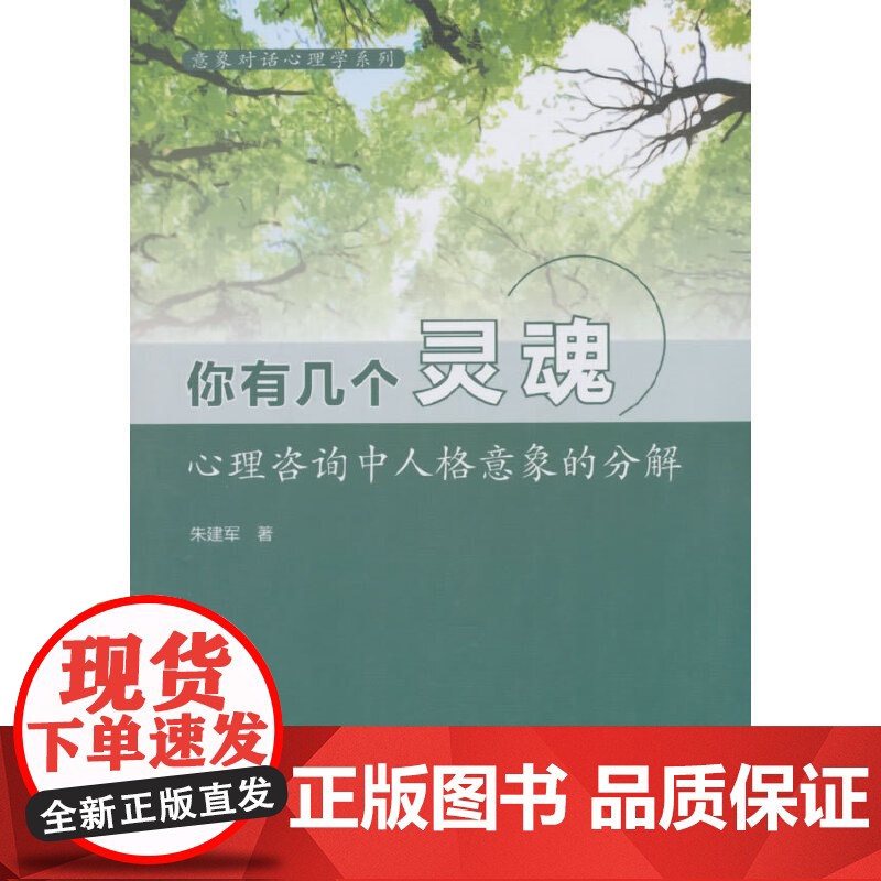 意象对话心理学系列·你有几个灵魂:心理咨询中人格意象的分解高清大图