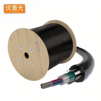 优普光室外铠装单模光纤线8芯中心管式架空光缆 GYXTW-8B（1000米）