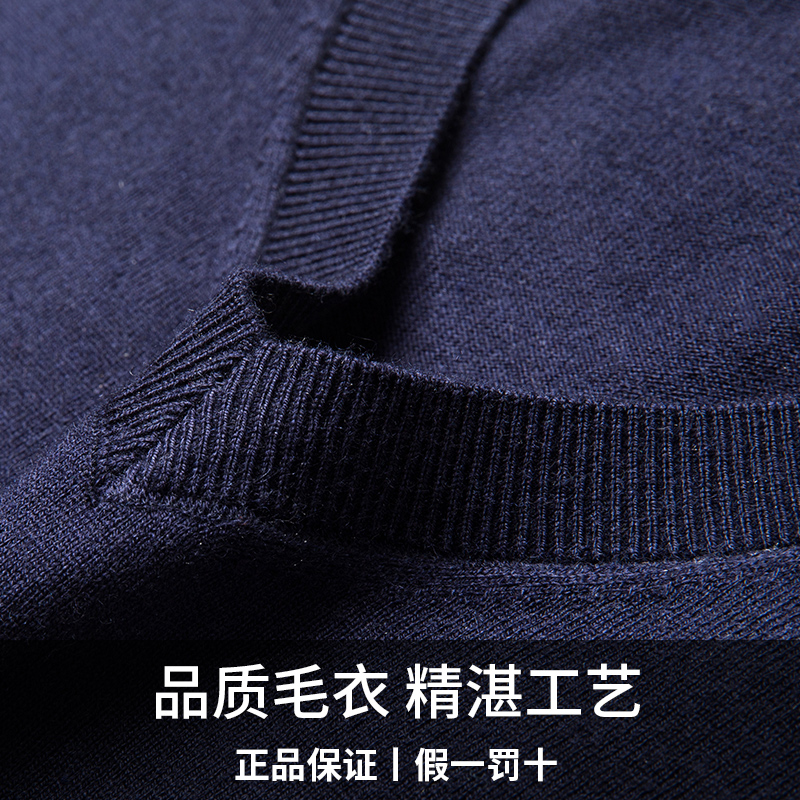 啄木鸟秋季真丝羊毛薄款中年男士套头毛衣新款桑蚕丝长袖针织衫男高清大图