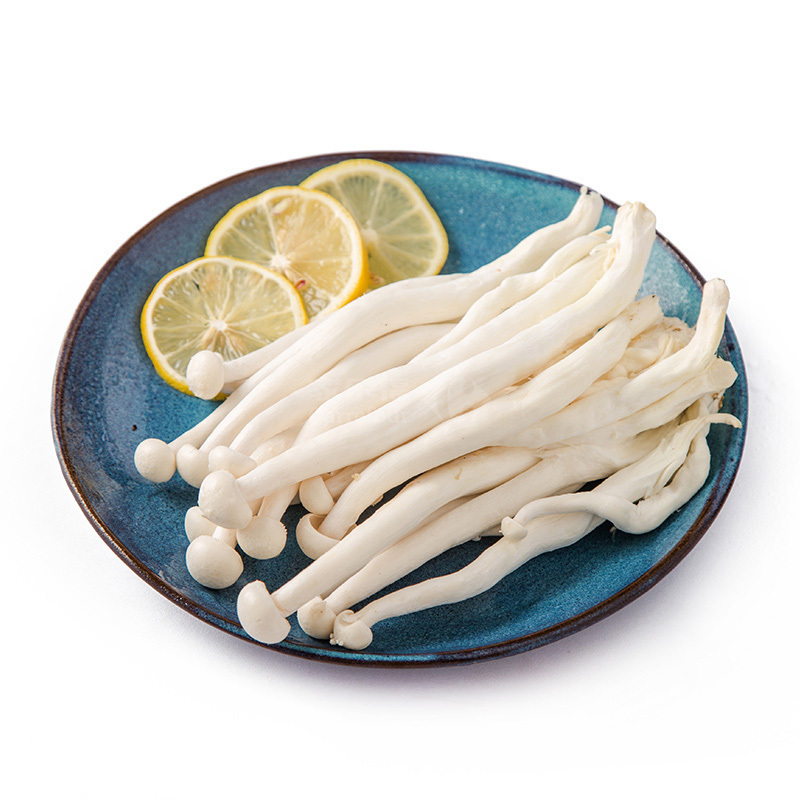 海鲜菇jlf1商品评价您没有填写评价内容