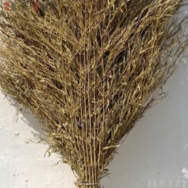 toptzy TZ5071822 竹扫把大扫把老式马路扫帚 4斤高清大图