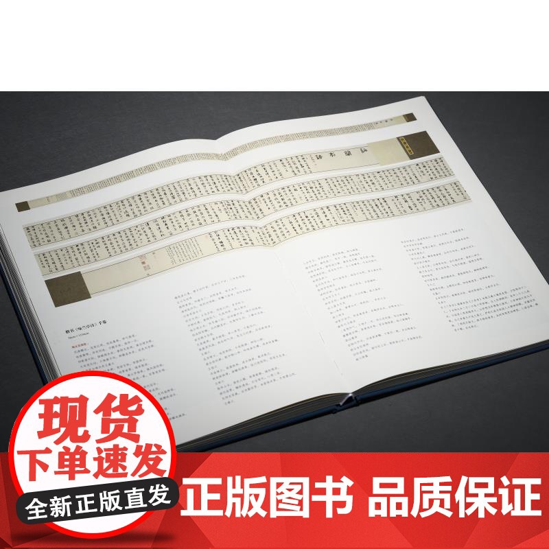 风华正茂 全国中青年书法名家十一人作品集第二辑 王健秋主编上海书画出版社高清大图