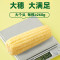 十月稻田鲜食白糯玉米1.56kg(260g*6)