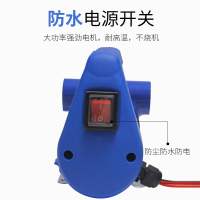 电动抽油泵正反转12v24v220伏自吸泵直流柴油泵小型加油机抽油器 旗舰款12v单