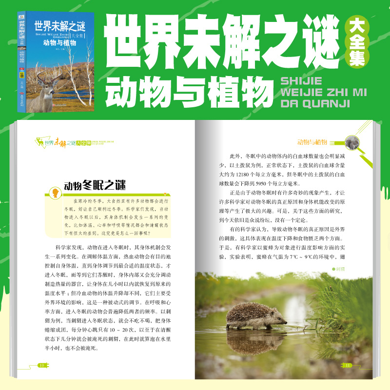 [醉染正版]世界未解之谜大全集6册 正版推荐小学生三四五六年级阅读课外书籍 儿童科普百科全书 适合8-10-12岁儿童读高清大图