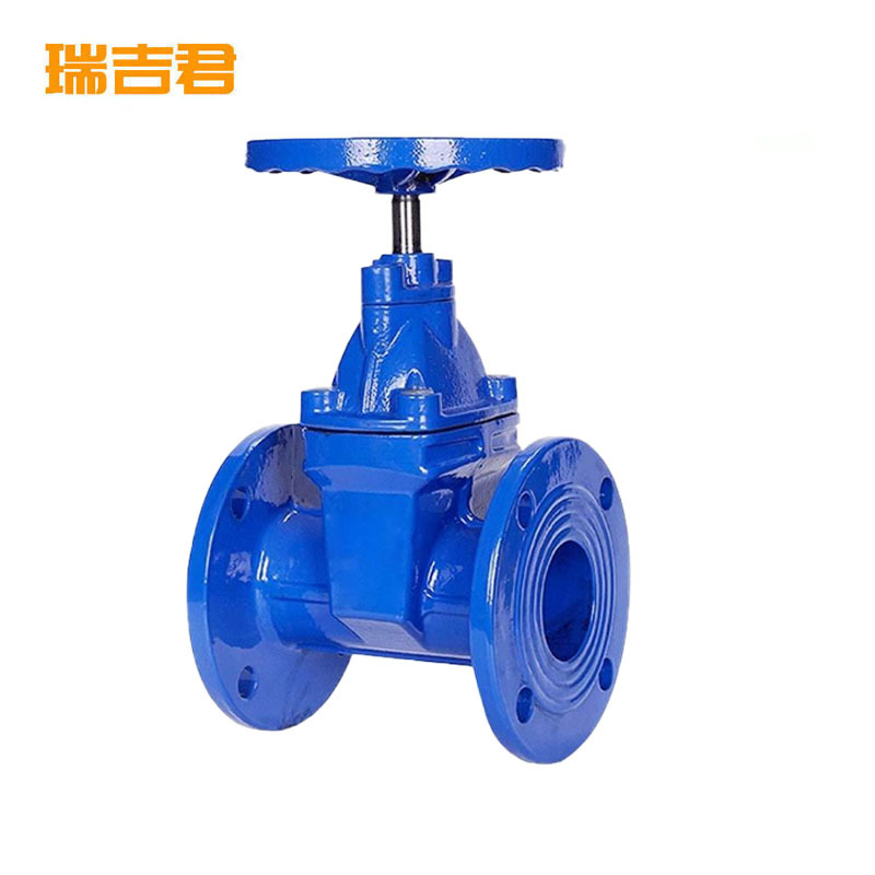 瑞吉君 软密封闸阀 DN250 单位:个高清大图