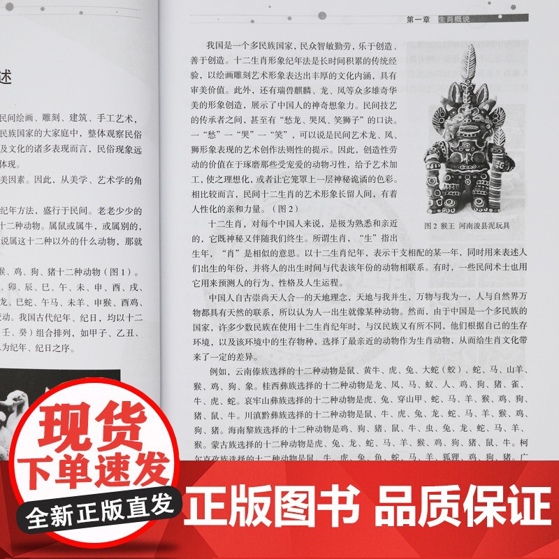 话说生肖文化 十二生肖与中华文化生肖概说造型鉴赏书籍高清大图