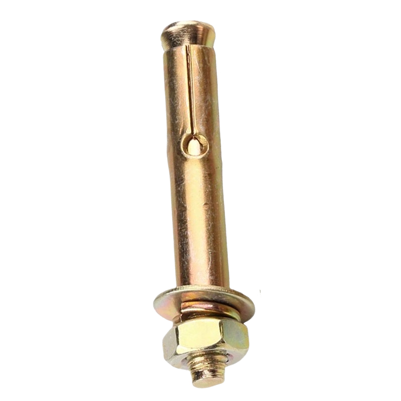 贝策 膨胀螺丝 M10*70mm 个