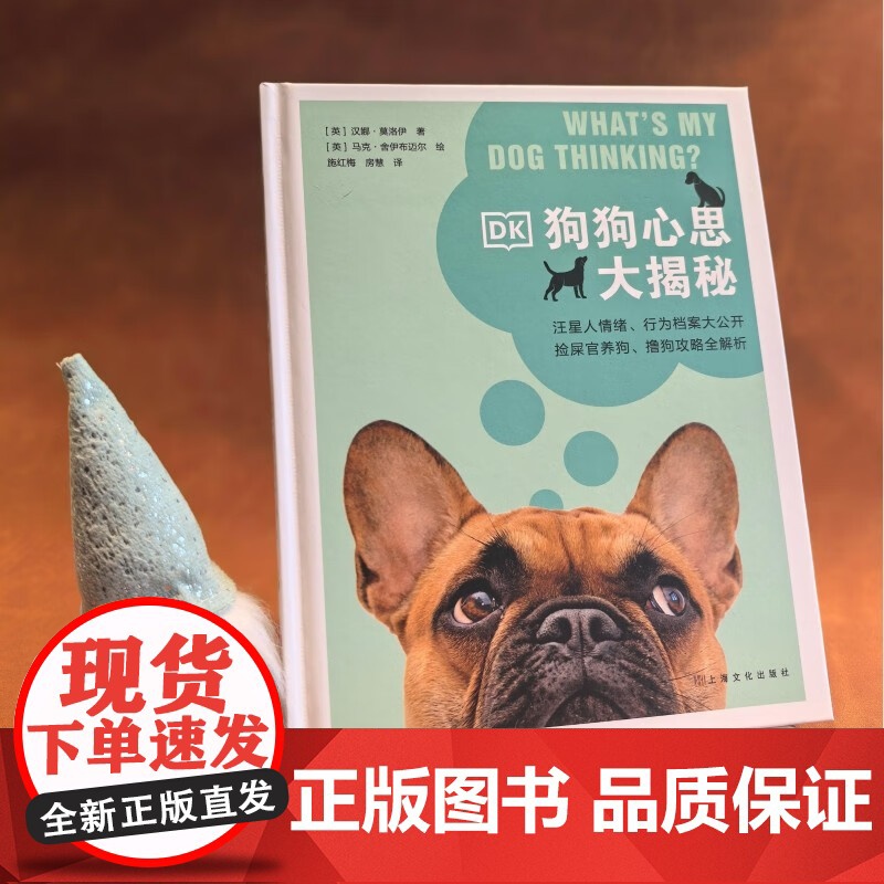 DK狗狗心思大揭秘 汉娜·莫洛伊 著 家居高清大图
