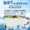 欧驰宝(OUCBOLL)846升卧式低温商用大容量食物冷冻冷藏速冻冷柜BD/BC-980H
