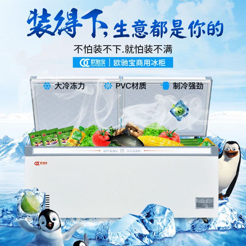 欧驰宝(OUCBOLL)846升卧式低温商用大容量食物冷冻冷藏速冻冷柜BD/BC-980H图片