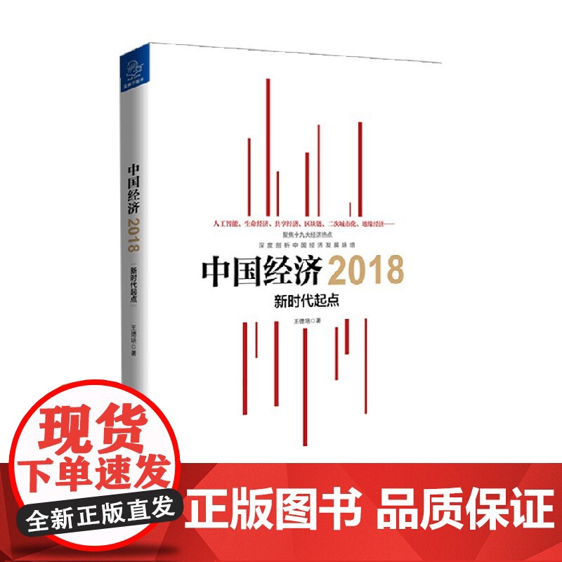 中国经济2018 王德培 著 经济高清大图