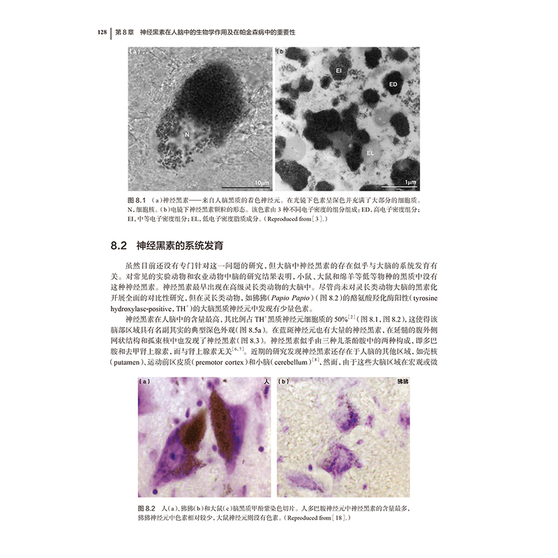 正版 黑素与黑素小体 生物合成 生物发生 生理和病理功能 产黑素细胞的分布与功能 主编 许德田 安全 9787117 [高清大图