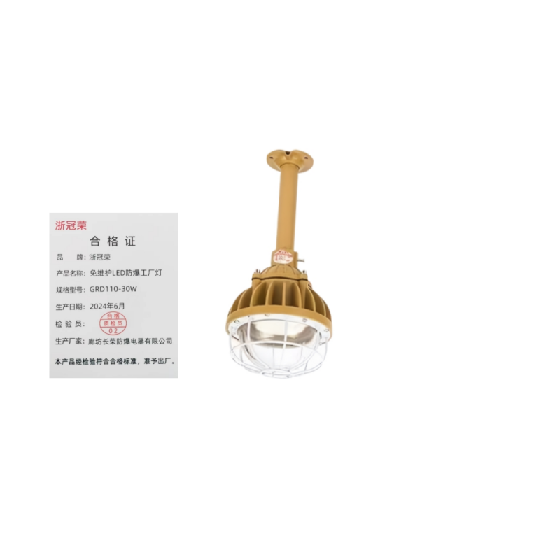 浙冠荣 GRD110-30W LED防爆带伞工厂灯