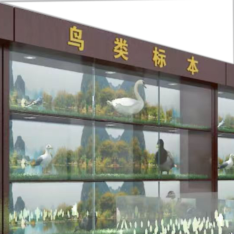 JCQN驱鸟器JC-P2驱鸟标本柜展示柜驱鸟柜[不含标本仅柜体]1平方米高清大图