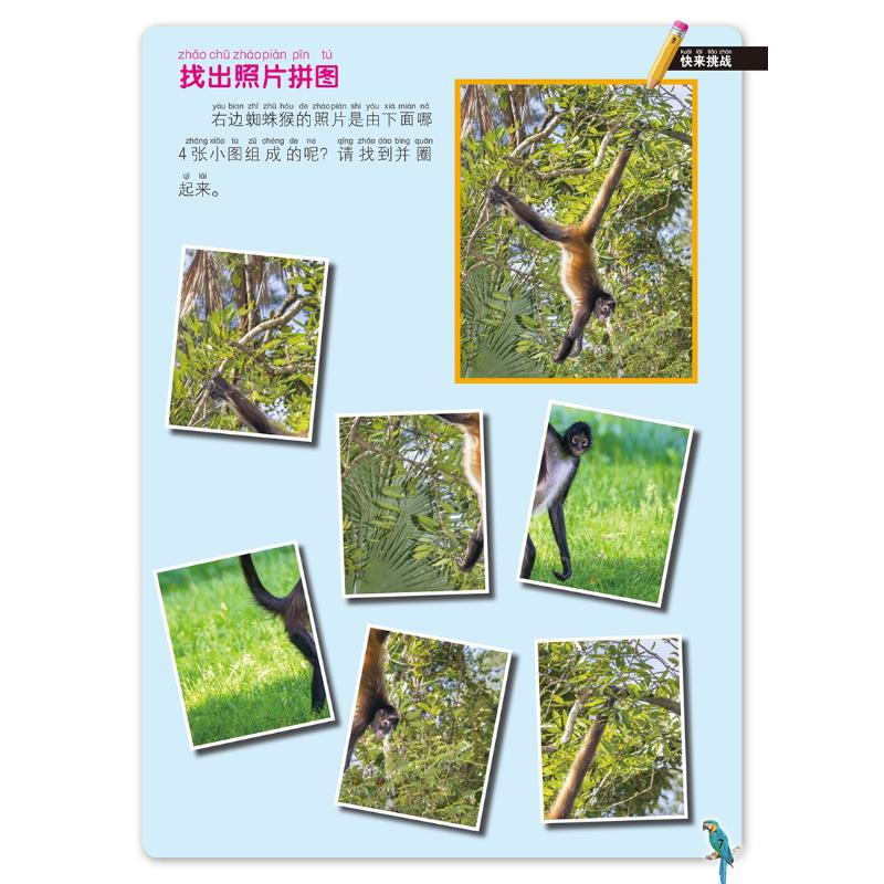 醉染图书雨林探险9787531585961高清大图