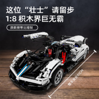 星辉(Rastar)1:8帕加尼拼装积木车高难度拼插玩具机械组模型97900/97910送礼套装