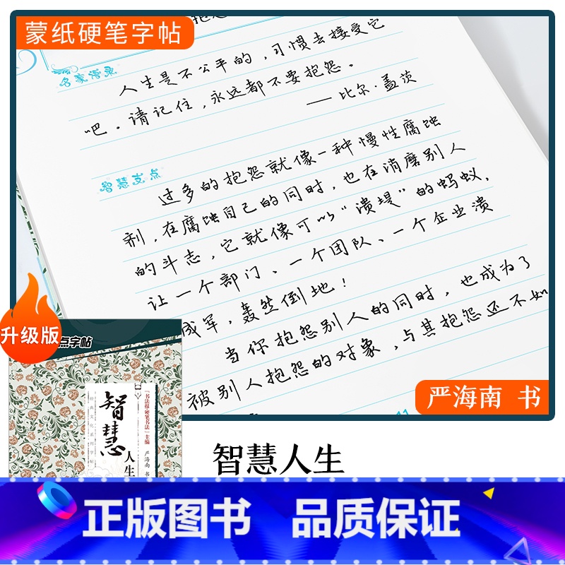 【行楷】智慧人生(严海南) 【正版】字帖楷书行楷大学生国学经典文化字帖练字成年男女生唐诗宋词三百首荆霄鹏临摹名著格言名家