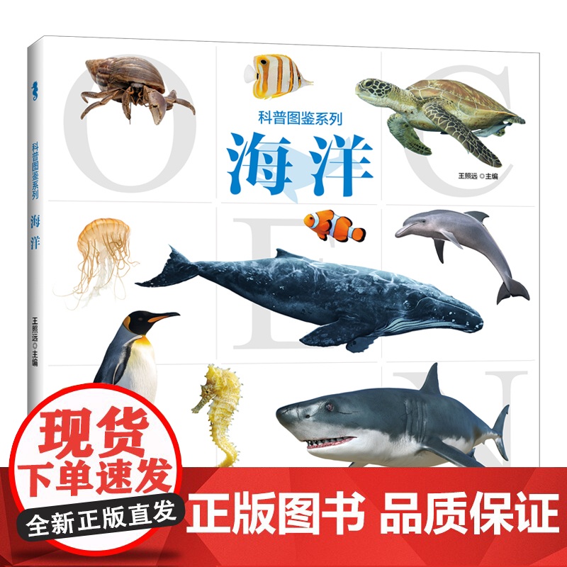 科普图鉴系列海洋 孩子喜爱的精美大图科普百科书高清大图