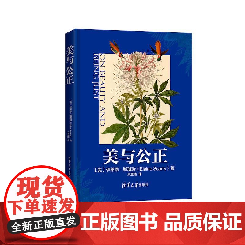 [正版]美与公正 伊莱恩·斯凯瑞 清华大学出版社 美学艺术哲学思想美学理论高清大图