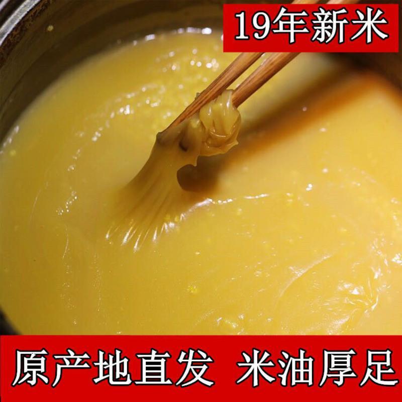 新米黄小米 新食用小黄米月子米宝宝米农家杂粮 黄小米5斤装