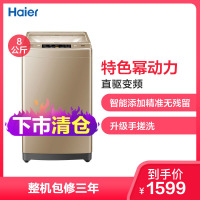 Haier/海尔洗衣机 8公斤直驱变频全自动波轮洗衣机 双智能系统 特色幂动力EB80BDF9GU1晒单图