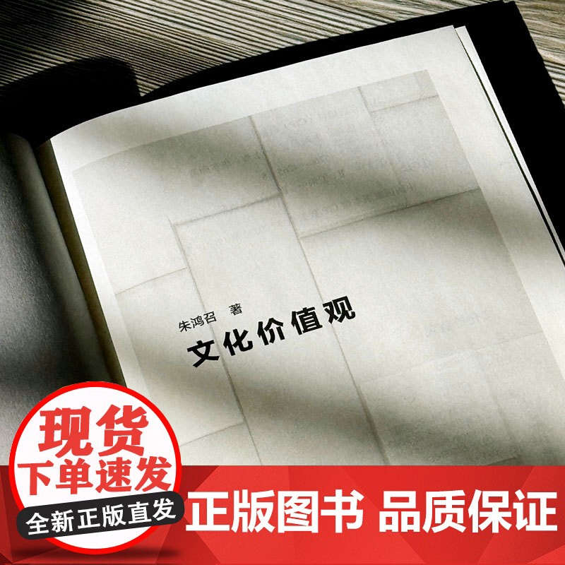 文化价值观 精装 朱鸿召 文化认同 价值理念 华东师范大学出版社高清大图