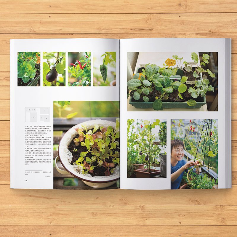 阳台菜园40种常见蔬菜混种方案简单轻松不易失败 Xjiobsganizmpffwecfnwbizfhlsbndzp 佚名著 摘要书评在线阅读 苏宁易购图书