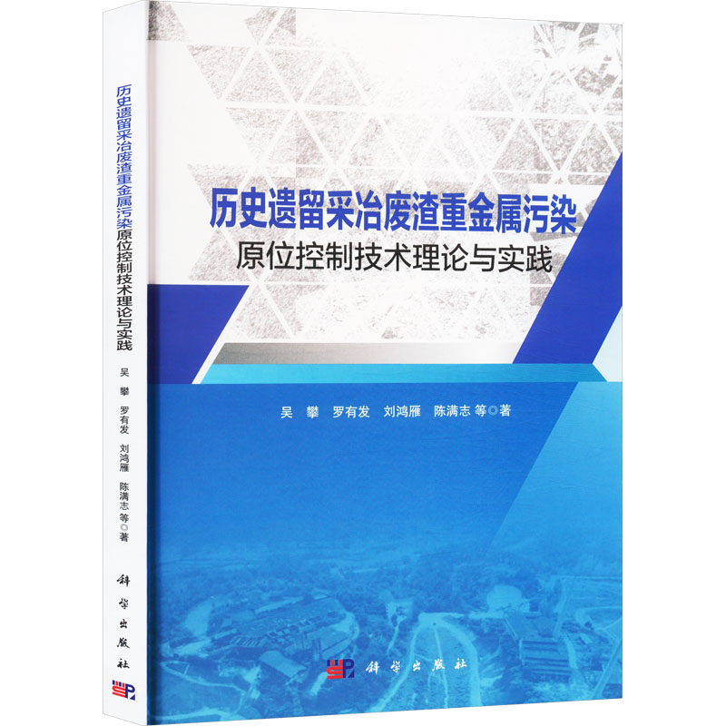 历史遗留采冶废渣重金属污染原位控制技术理论与实践